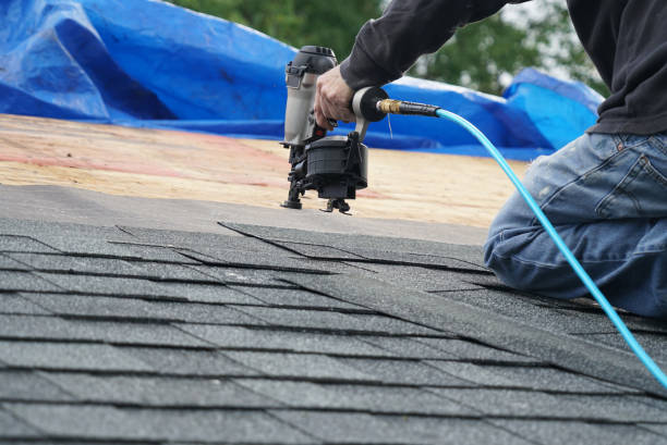 Best Roofing Contractor Near Me  in St Louis, MI