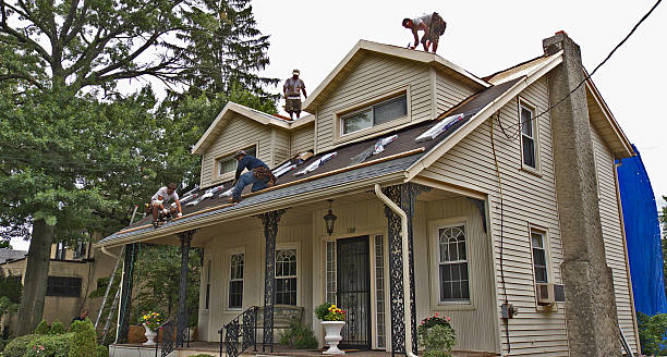 Sealant for Roof in St Louis, MI