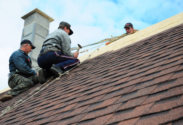 Quick and Trustworthy Emergency Roof Repair Services in St Louis, MI