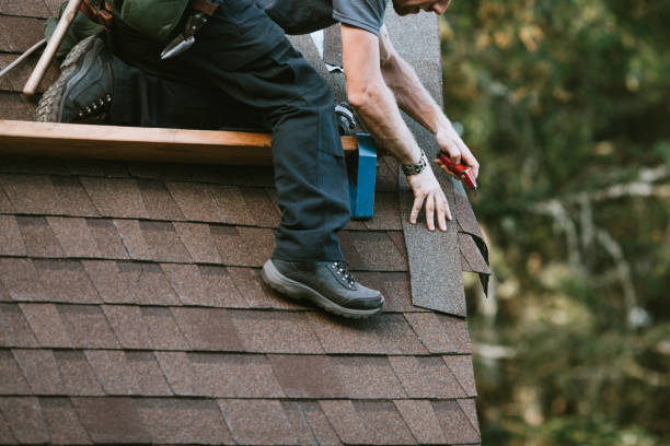 Best Residential Roofing Contractor  in St Louis, MI